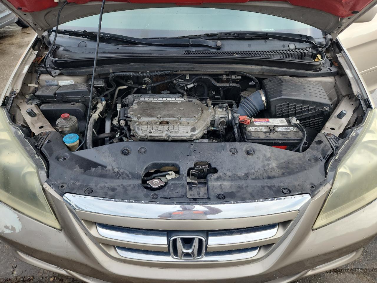 2005 Honda Odyssey Touring VIN: 5FNRL38825B032662 Lot: 91906925