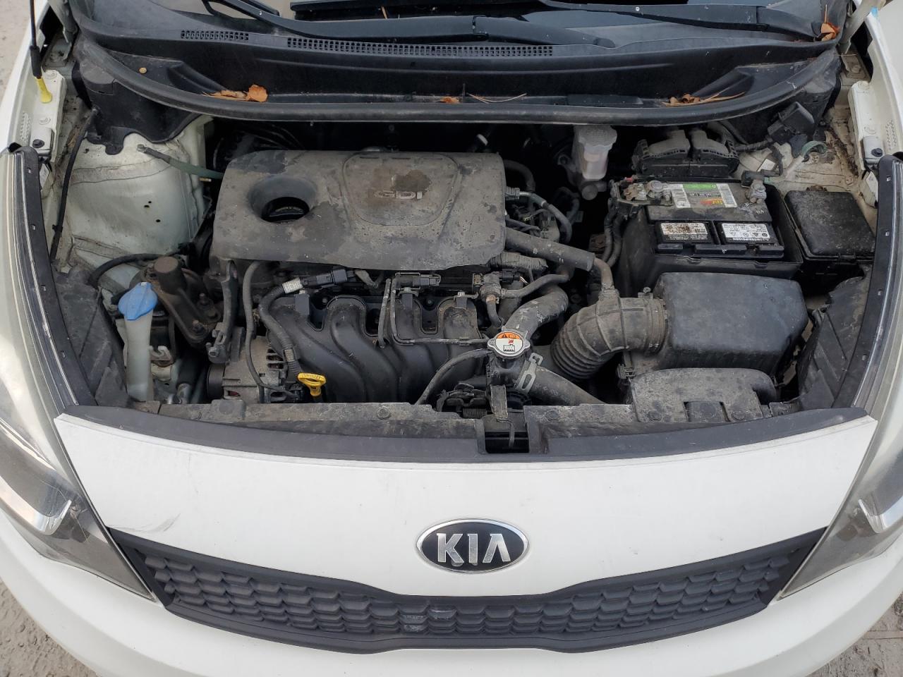 2017 Kia Rio Lx VIN: KNADM4A32H6070532 Lot: 92839445