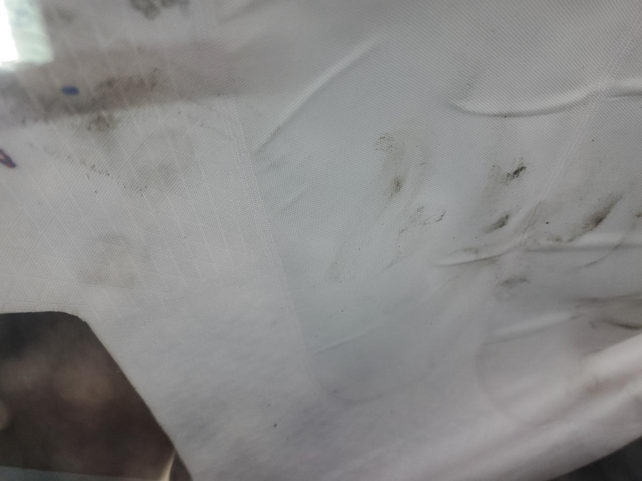 2023 Tesla Model Y VIN: 7SAYGAEE6PF966151 Lot: 92287795