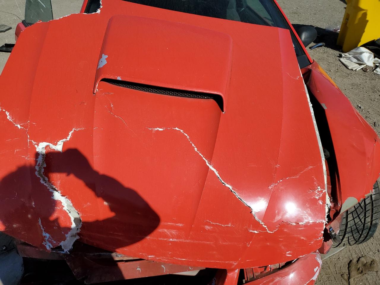 2001 Ford Mustang Gt VIN: 1FAFP42X81F264305 Lot: 92060375