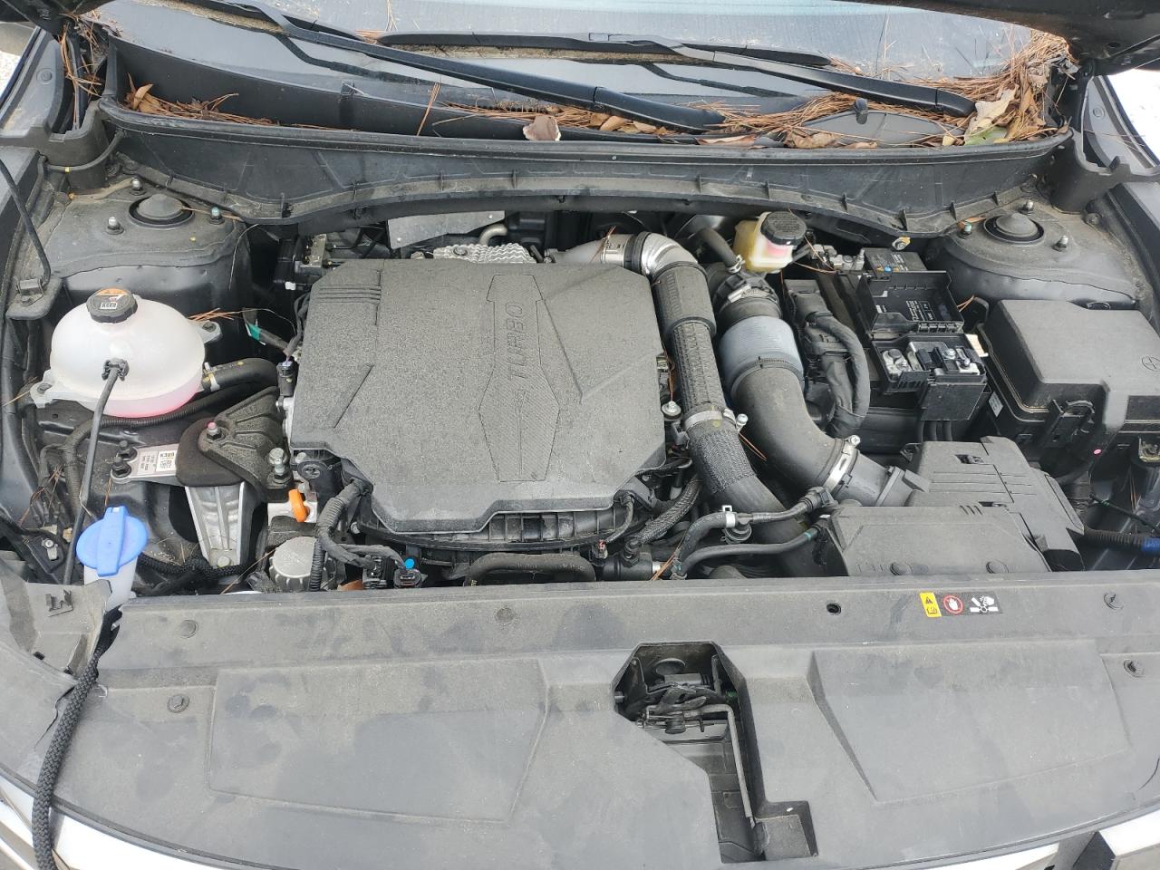 2024 Hyundai Santa Cruz Limited VIN: 5NTJEDAF3RH079214 Lot: 93479495