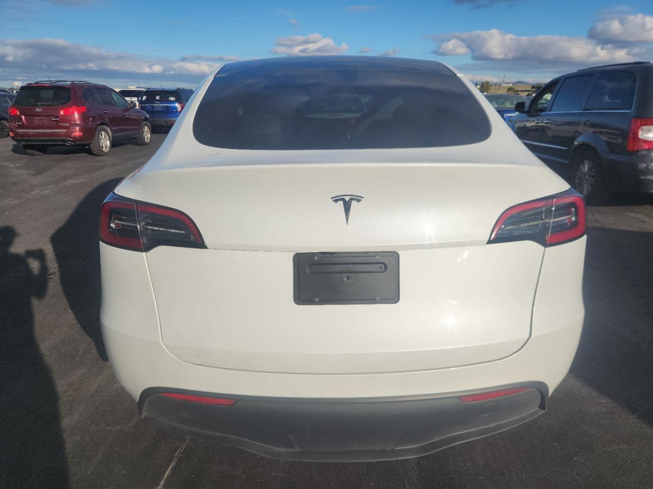 2024 Tesla Model Y VIN: 7SAYGDED6RF010602 Lot: 91479635