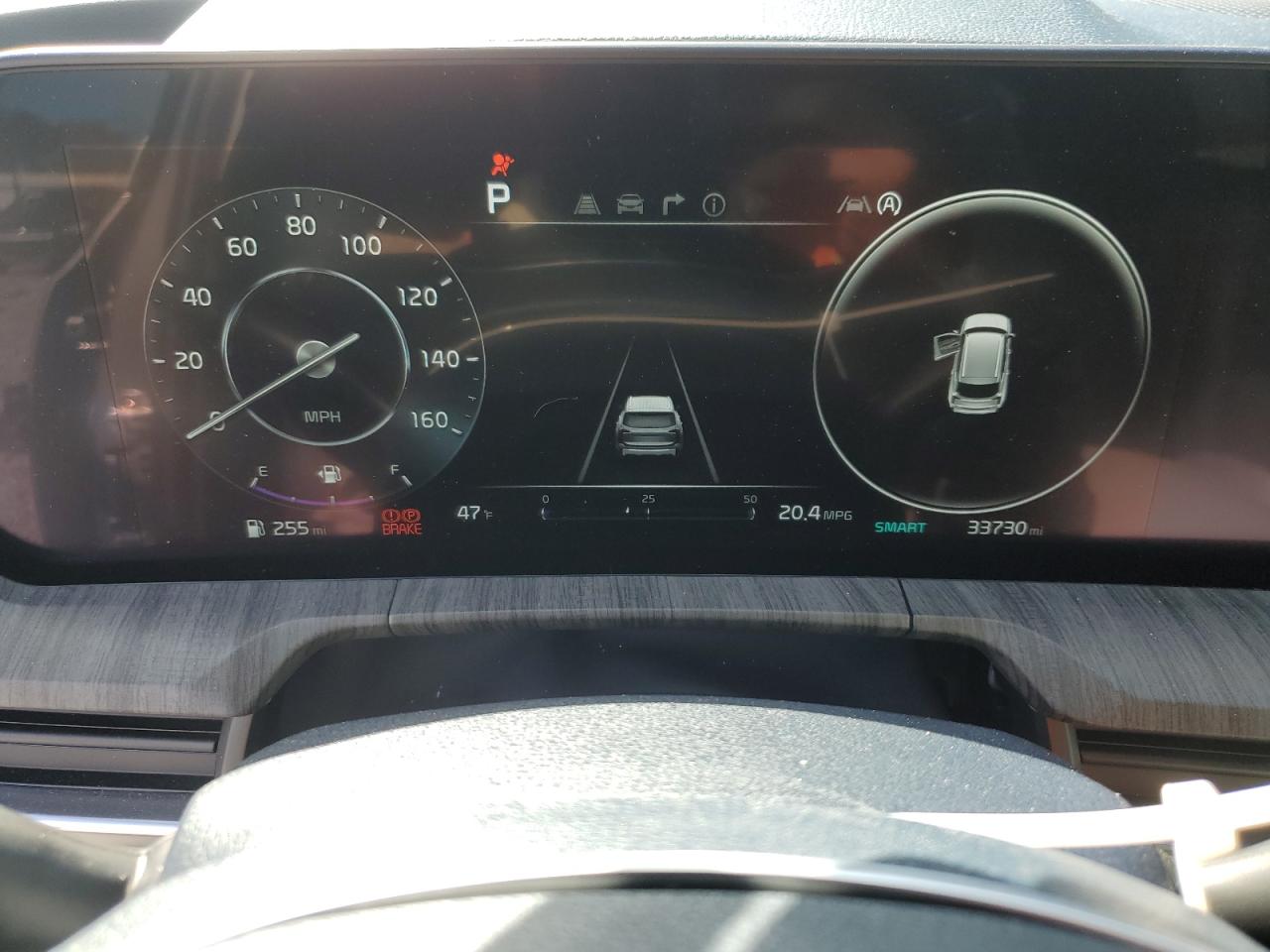 2024 Kia Telluride Sx VIN: 5XYP5DGC3RG435383 Lot: 91875535