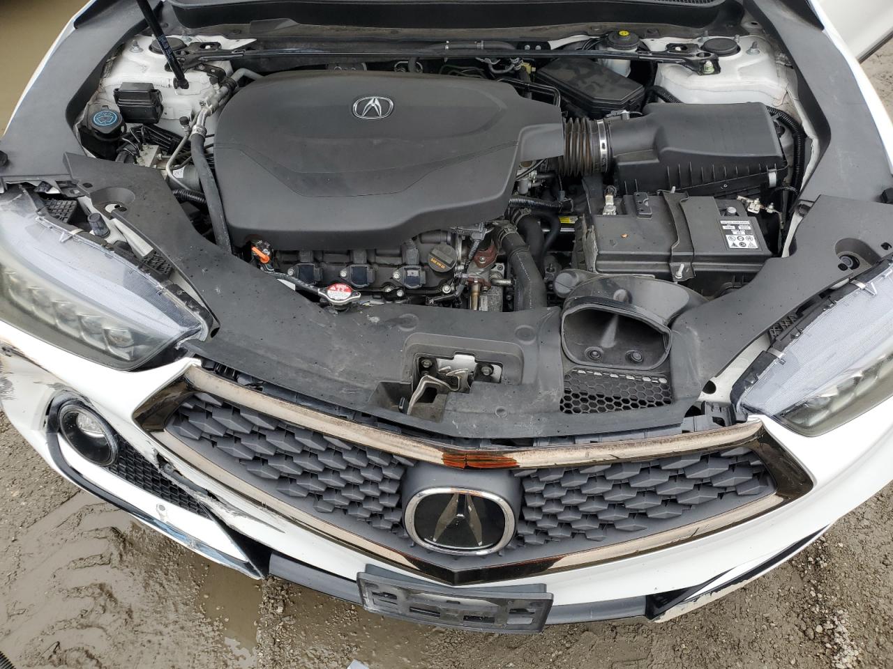 2020 Acura Tlx Technology VIN: 19UUB3F64LA000155 Lot: 93979865