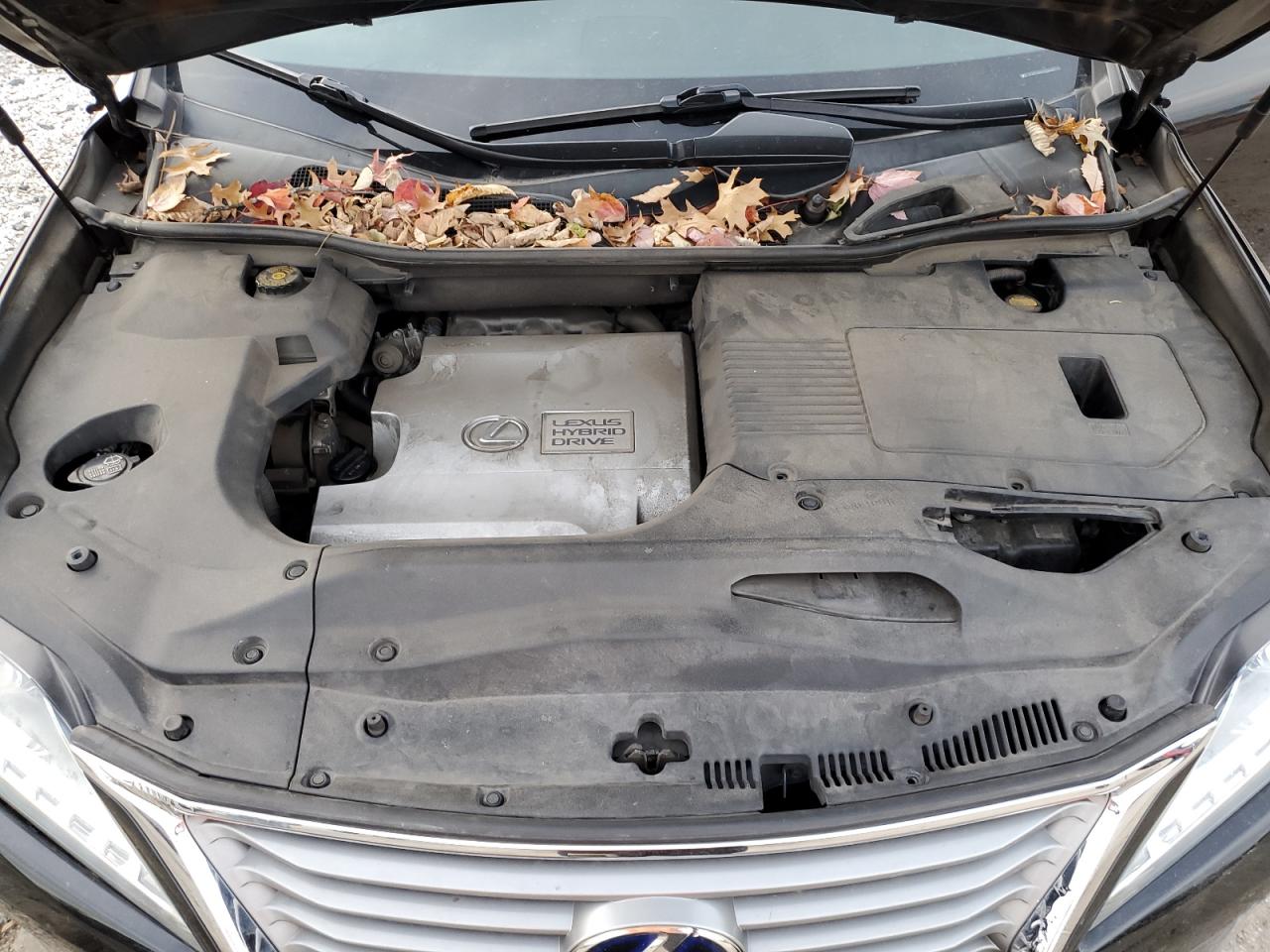 2013 Lexus Rx 450H VIN: JTJBC1BA5D2445661 Lot: 85414475