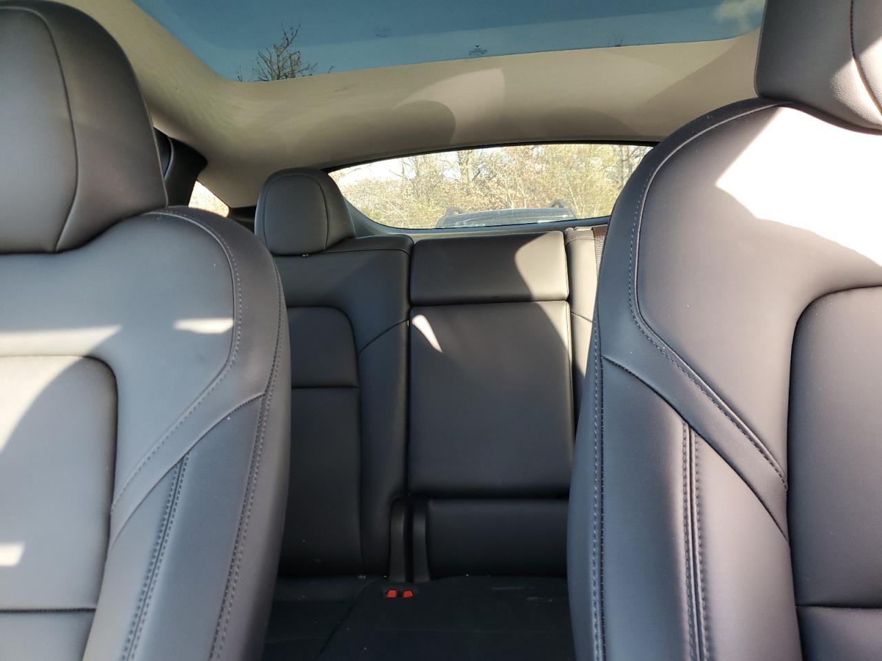 2023 Tesla Model Y VIN: 7SAYGDEE6PA187962 Lot: 91473115