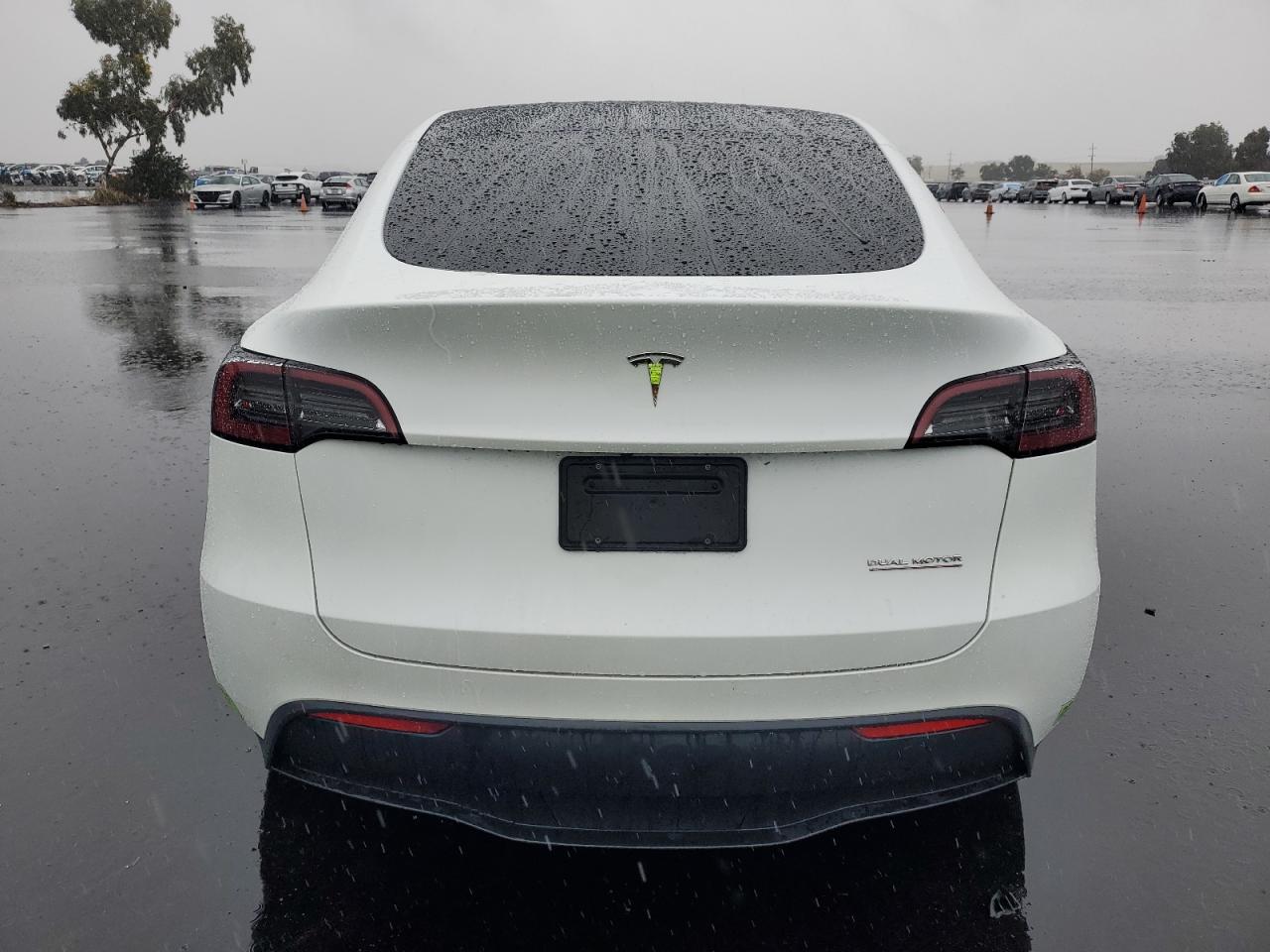 2023 Tesla Model Y VIN: 7SAYGDEE4PF622433 Lot: 91085065