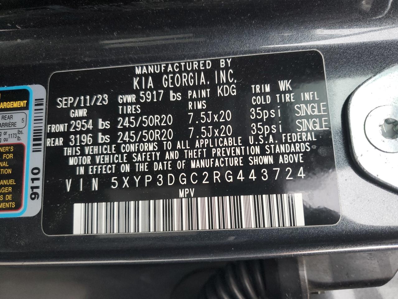 2024 Kia Telluride Ex VIN: 5XYP3DGC2RG443724 Lot: 92133205