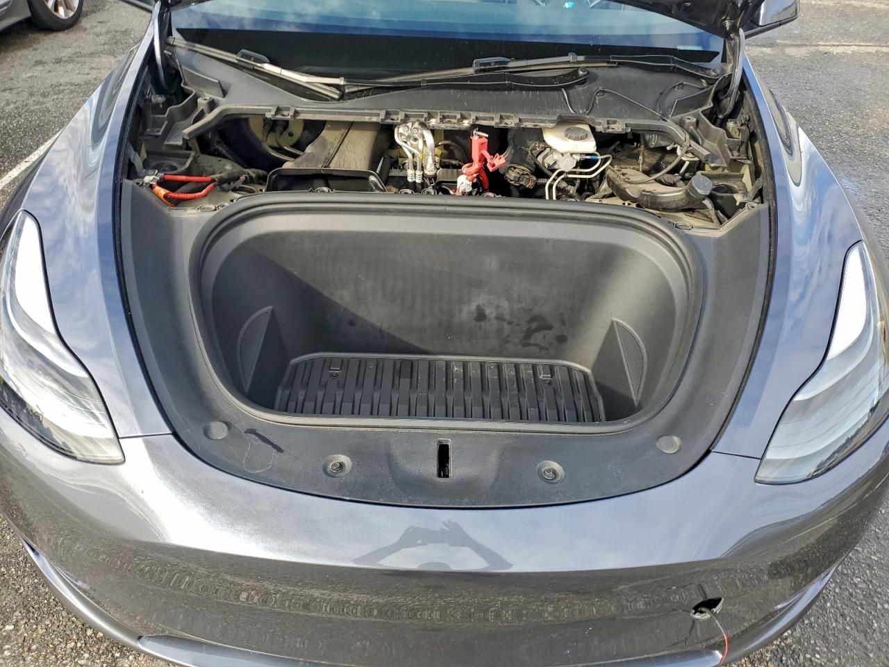 2023 Tesla Model Y VIN: 7SAYGDEEXPA182358 Lot: 92920855