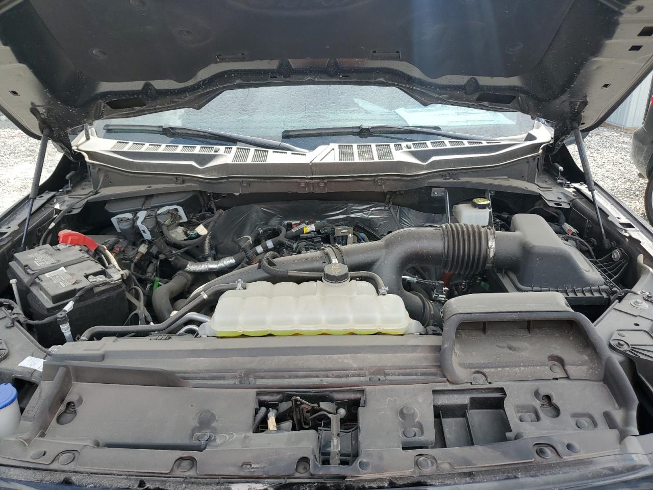 2024 Ford F150 Xlt VIN: 1FTEW3LP8RKF54807 Lot: 90744035