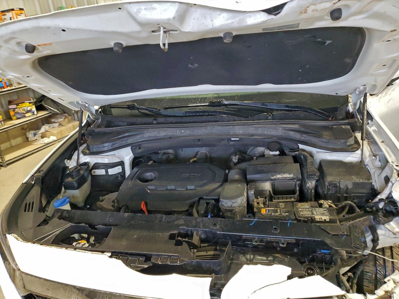 2020 Hyundai Santa Fe Limited VIN: 5NMS53AD9LH204457 Lot: 92940645