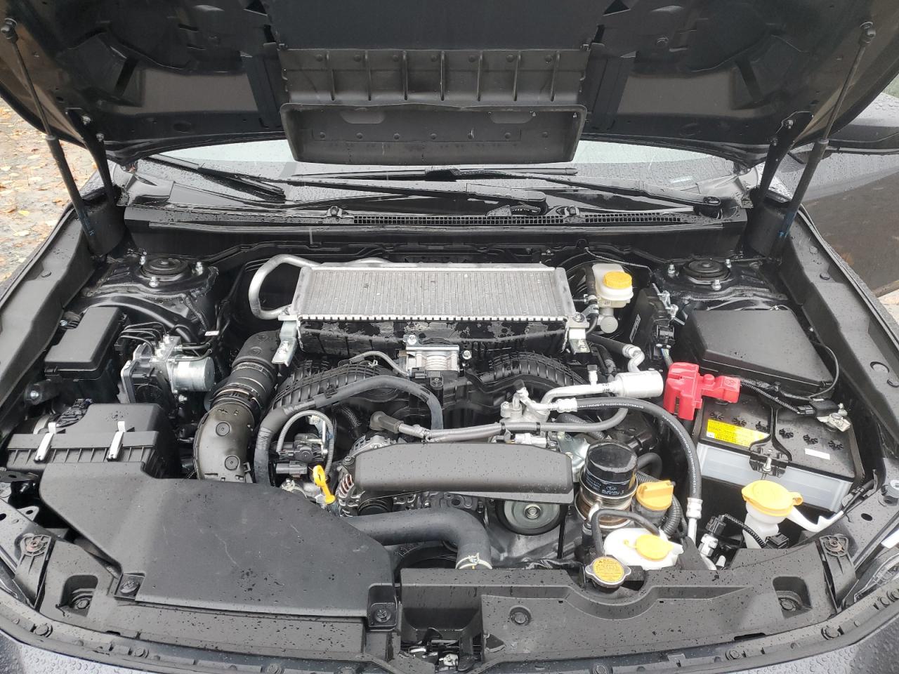 2024 Subaru Wrx Premium VIN: JF1VBAH61R9816003 Lot: 93071845