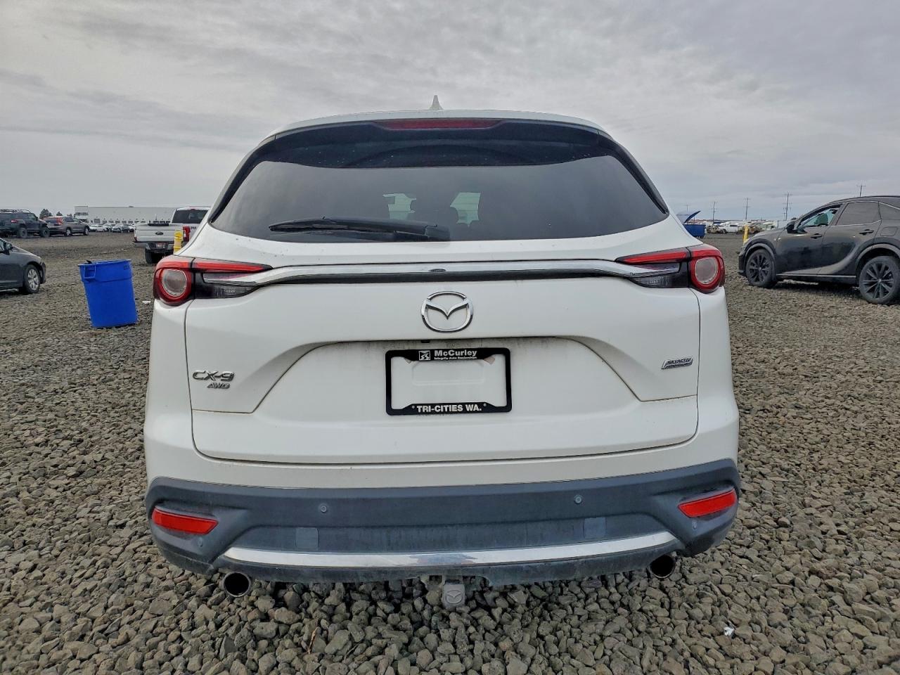 2016 Mazda Cx-9 Signature VIN: JM3TCBEY8G0109631 Lot: 94320385