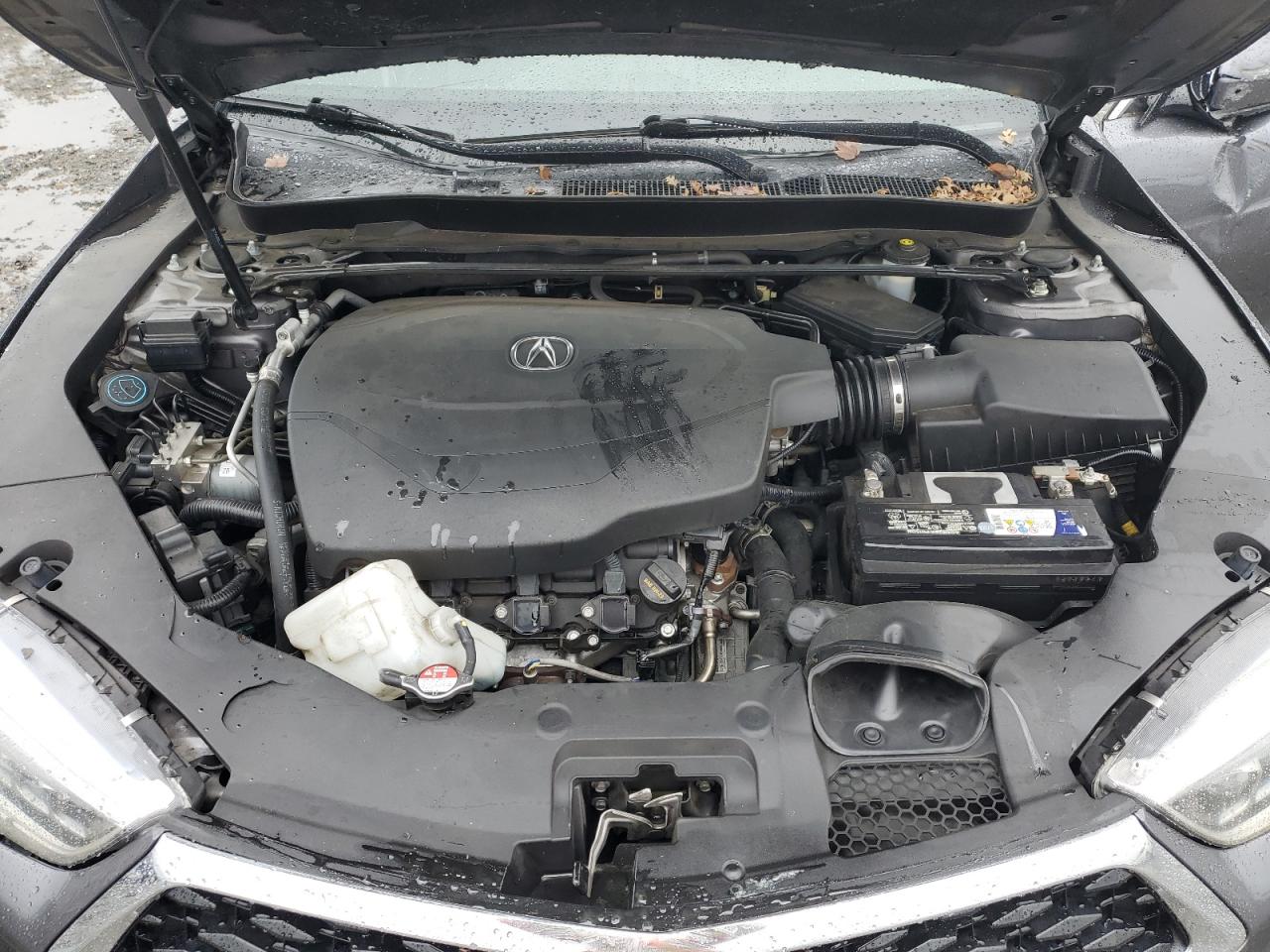 2019 Acura Tlx VIN: 19UUB2F36KA000382 Lot: 92424095