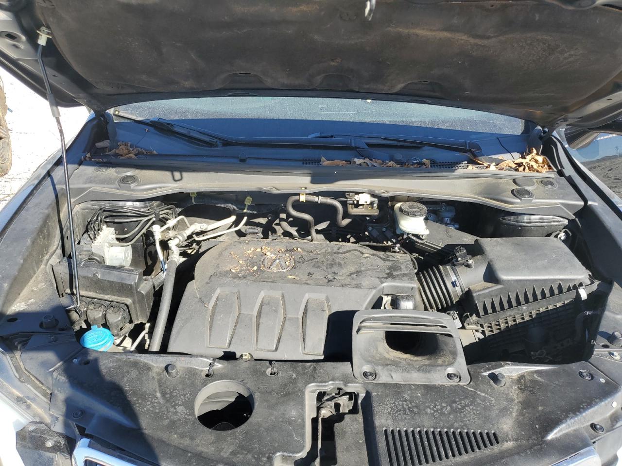 2013 Acura Rdx VIN: 5J8TB3H36DL010254 Lot: 90797205