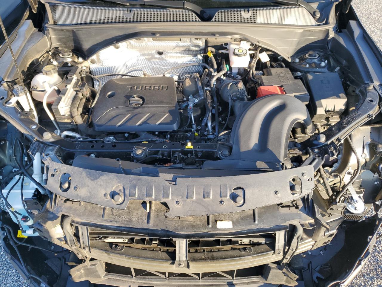 2025 Chevrolet Trailblazer Lt VIN: KL79MPSL0SB063891 Lot: 93636435