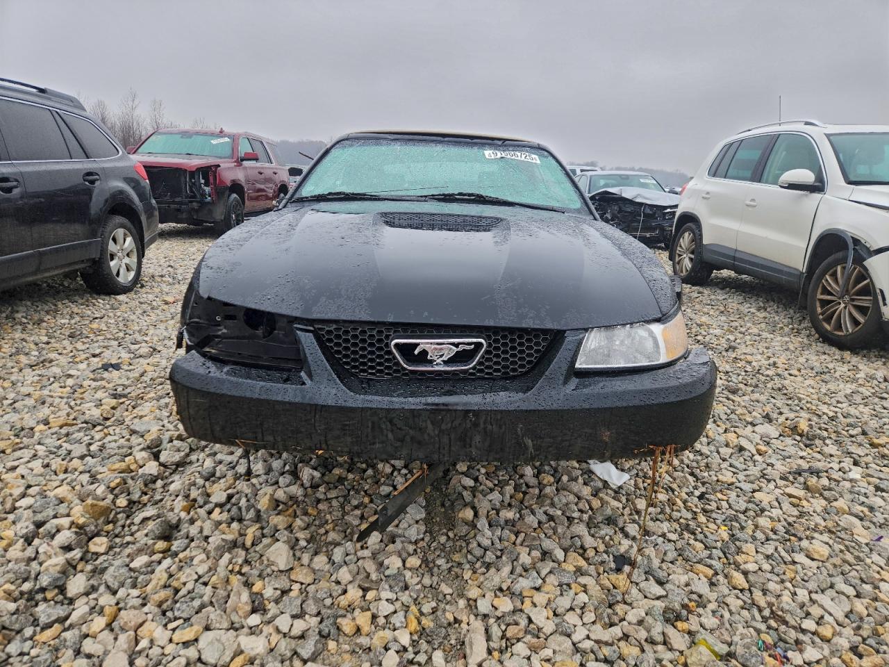 1999 Ford Mustang Gt VIN: 1FAFP45X7XF110138 Lot: 91966725