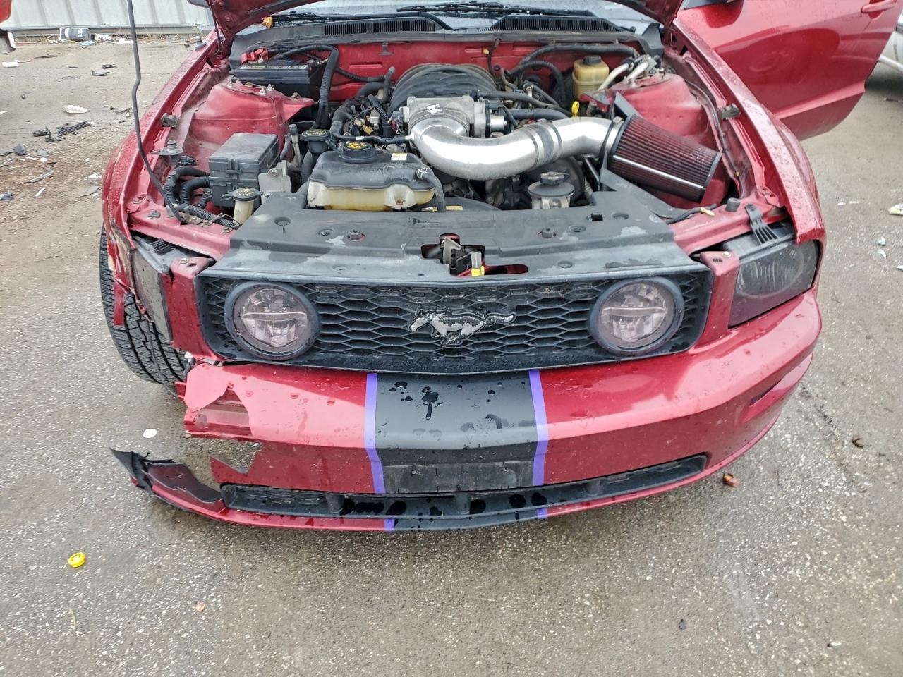 2006 Ford Mustang Gt VIN: 1ZVFT82HX65148460 Lot: 93423245