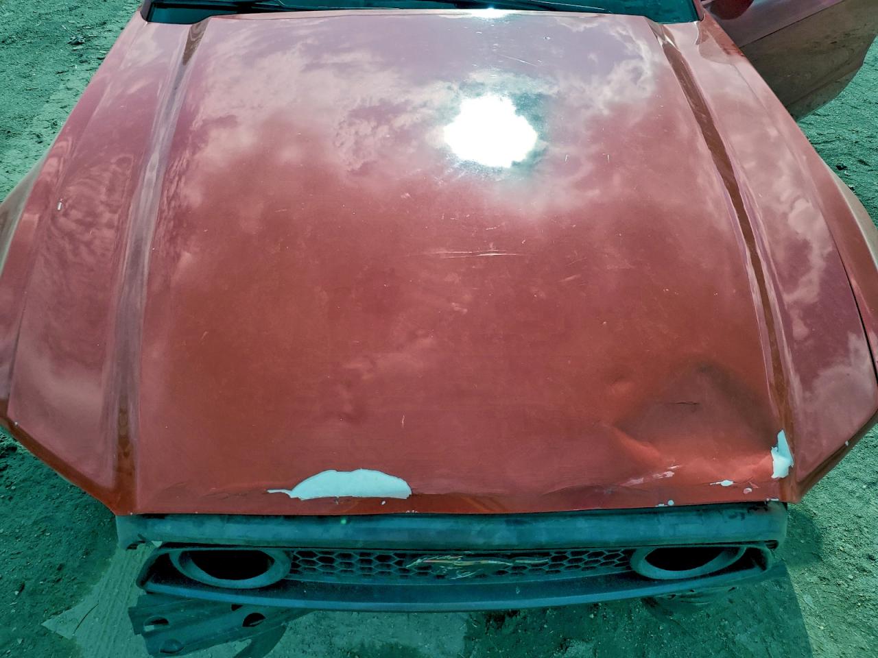 2013 Ford Mustang VIN: 1ZVBP8AM8D5281071 Lot: 93959995