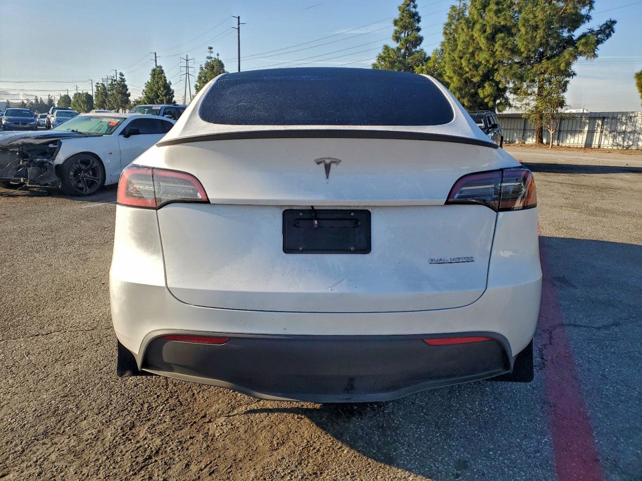 2023 Tesla Model Y VIN: 7SAYGDEF7PF743806 Lot: 94172305