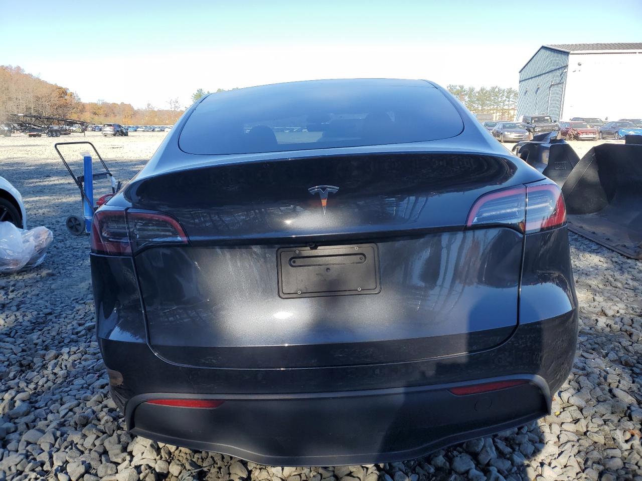 2025 Tesla Model Y VIN: 7SAYGDED7SF270285 Lot: 91195105