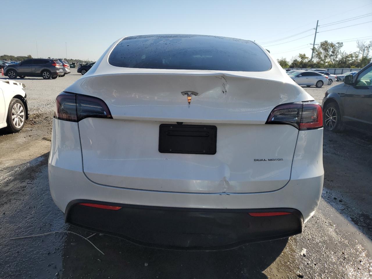2024 Tesla Model Y VIN: 7SAYGDEE8RA230300 Lot: 93418345