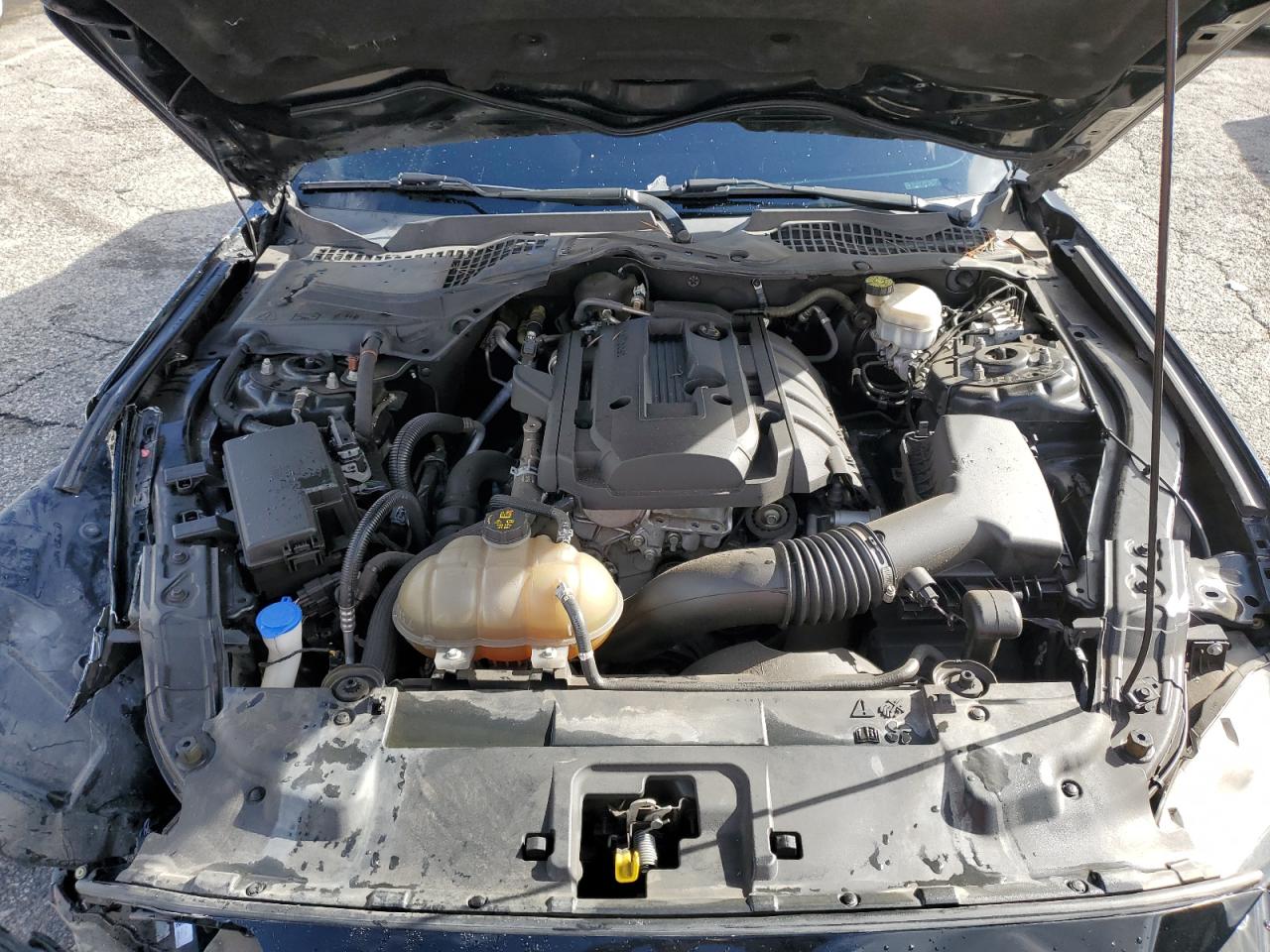 2020 Ford Mustang VIN: 1FA6P8TH0L5190319 Lot: 92745555