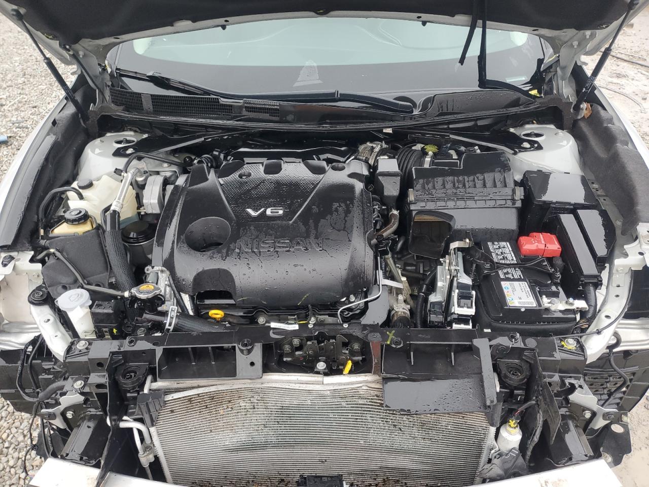 2020 Nissan Maxima Sl VIN: 1N4AA6DV7LC383664 Lot: 93123325