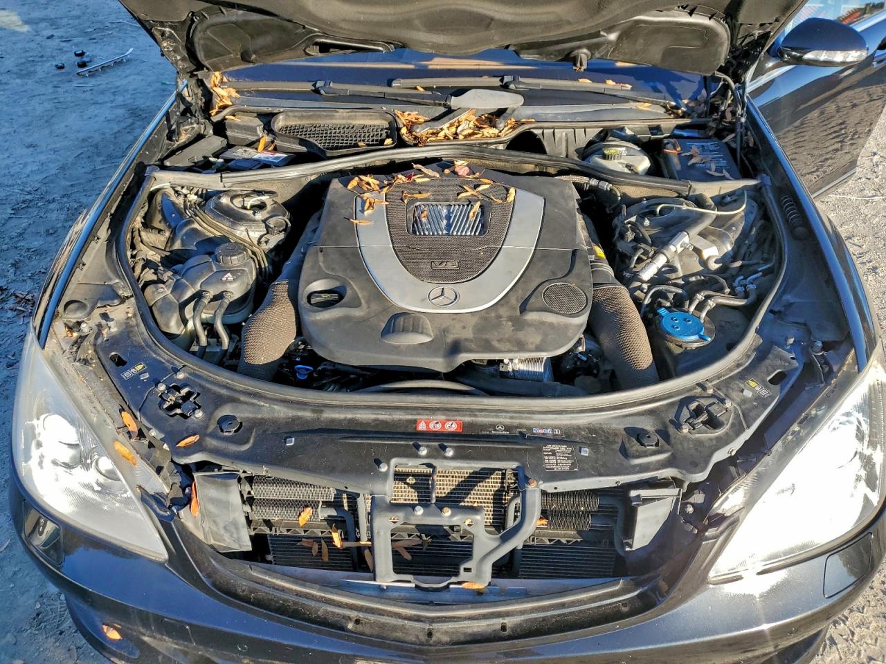 2007 Mercedes-Benz S 550 VIN: WDDNG71X37A097419 Lot: 93334575