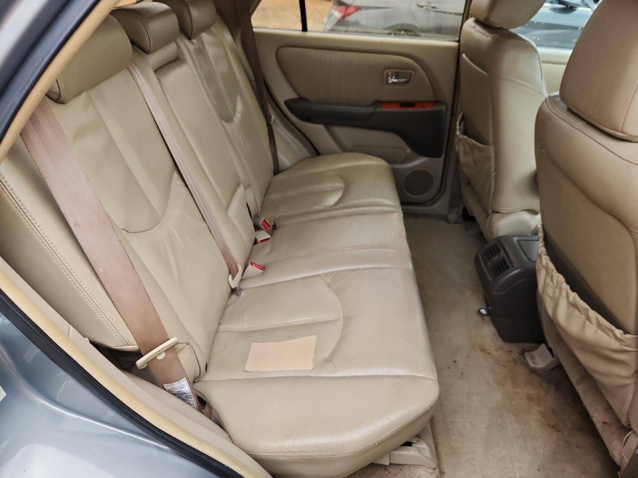 2002 Lexus Rx 300 VIN: JTJHF10U920246667 Lot: 92006275