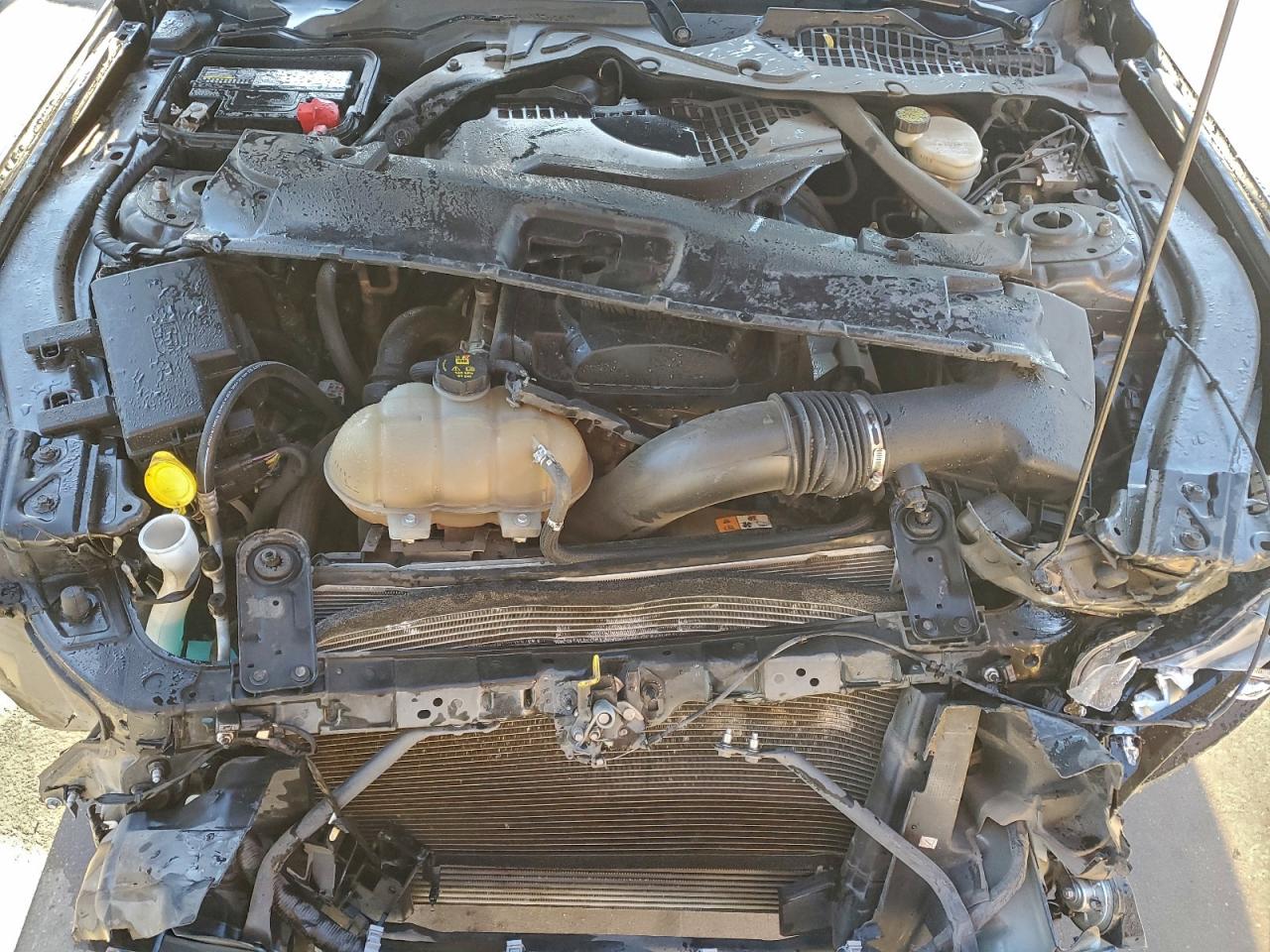 2016 Ford Mustang VIN: 1FATP8UHXG5310084 Lot: 92109255