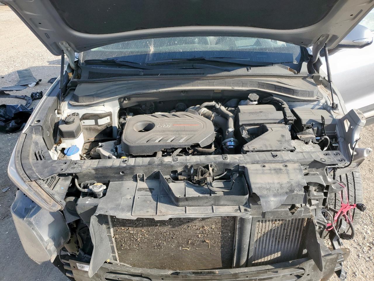 2020 Hyundai Santa Fe Limited VIN: 5NMS53AA4LH270260 Lot: 93247875