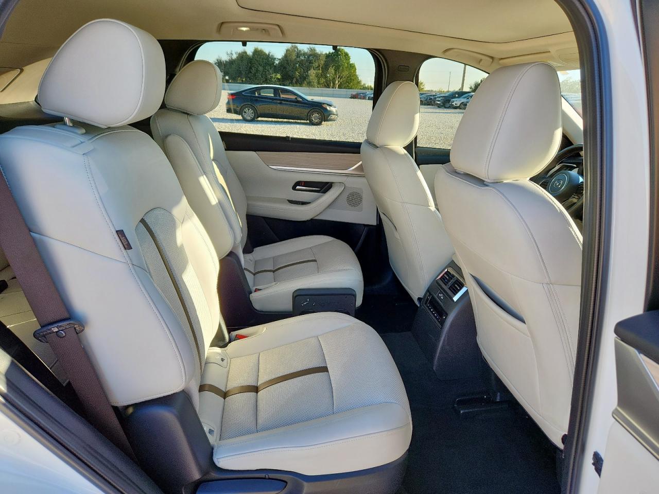 2024 Mazda Cx-90 Premium Plus VIN: JM3KKEHD6R1169008 Lot: 91113745