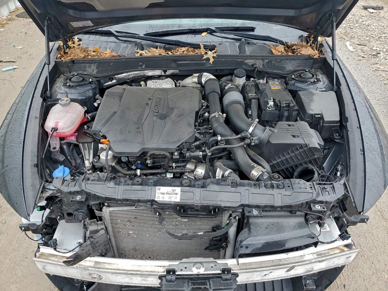 2024 Hyundai Sonata N Line VIN: KMHL54JC5RA364707 Lot: 94291965