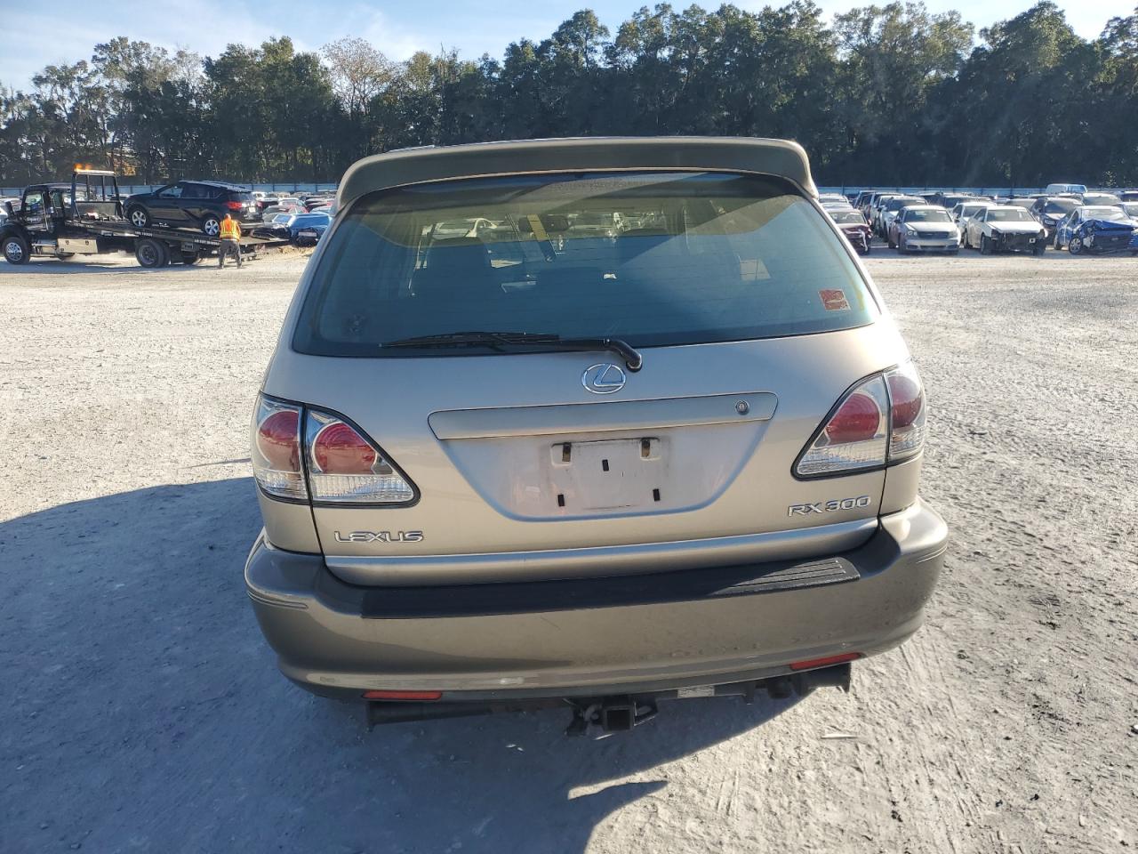 2003 Lexus Rx 300 VIN: JTJHF10U530311886 Lot: 92113965