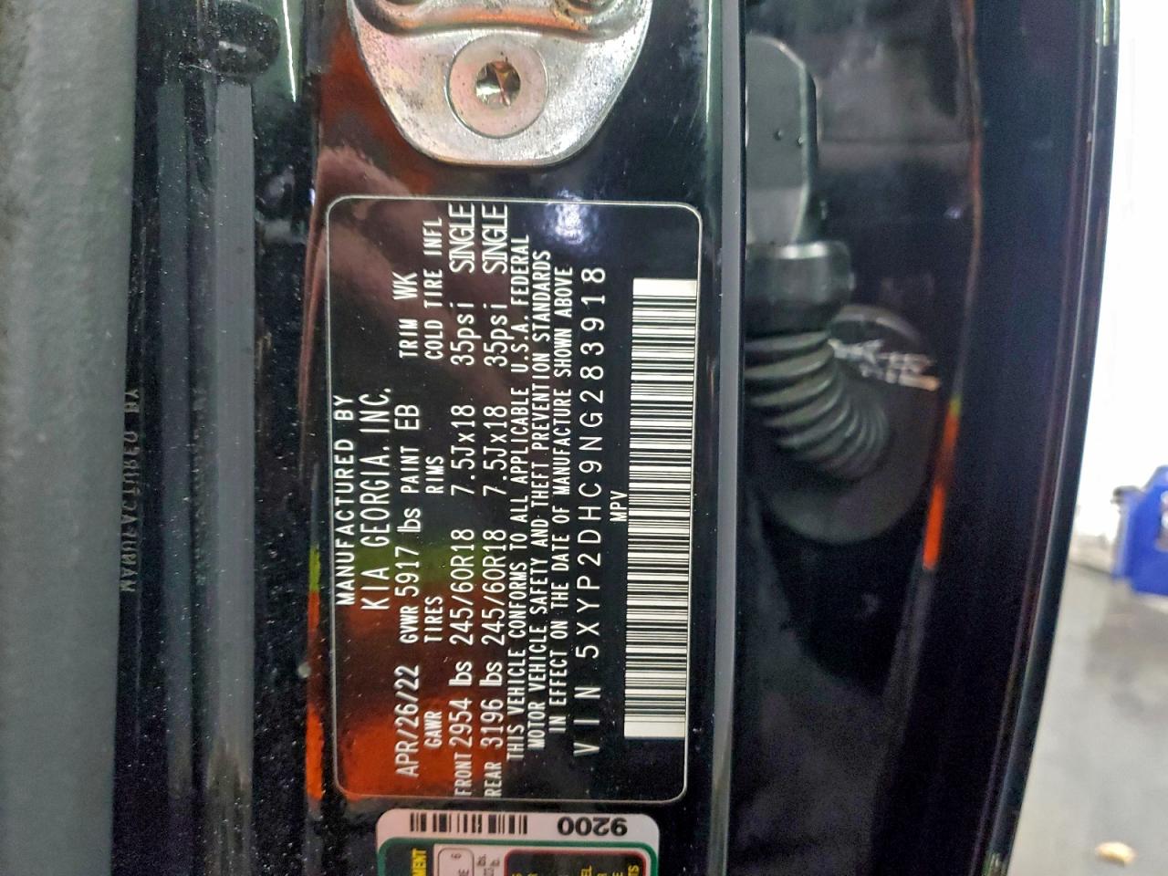 2022 Kia Telluride Lx VIN: 5XYP2DHC9NG283918 Lot: 94473655