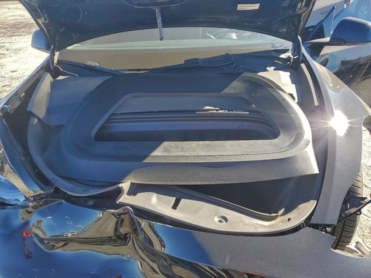 2023 Tesla Model Y VIN: 7SAYGDEF7PF888408 Lot: 93435325