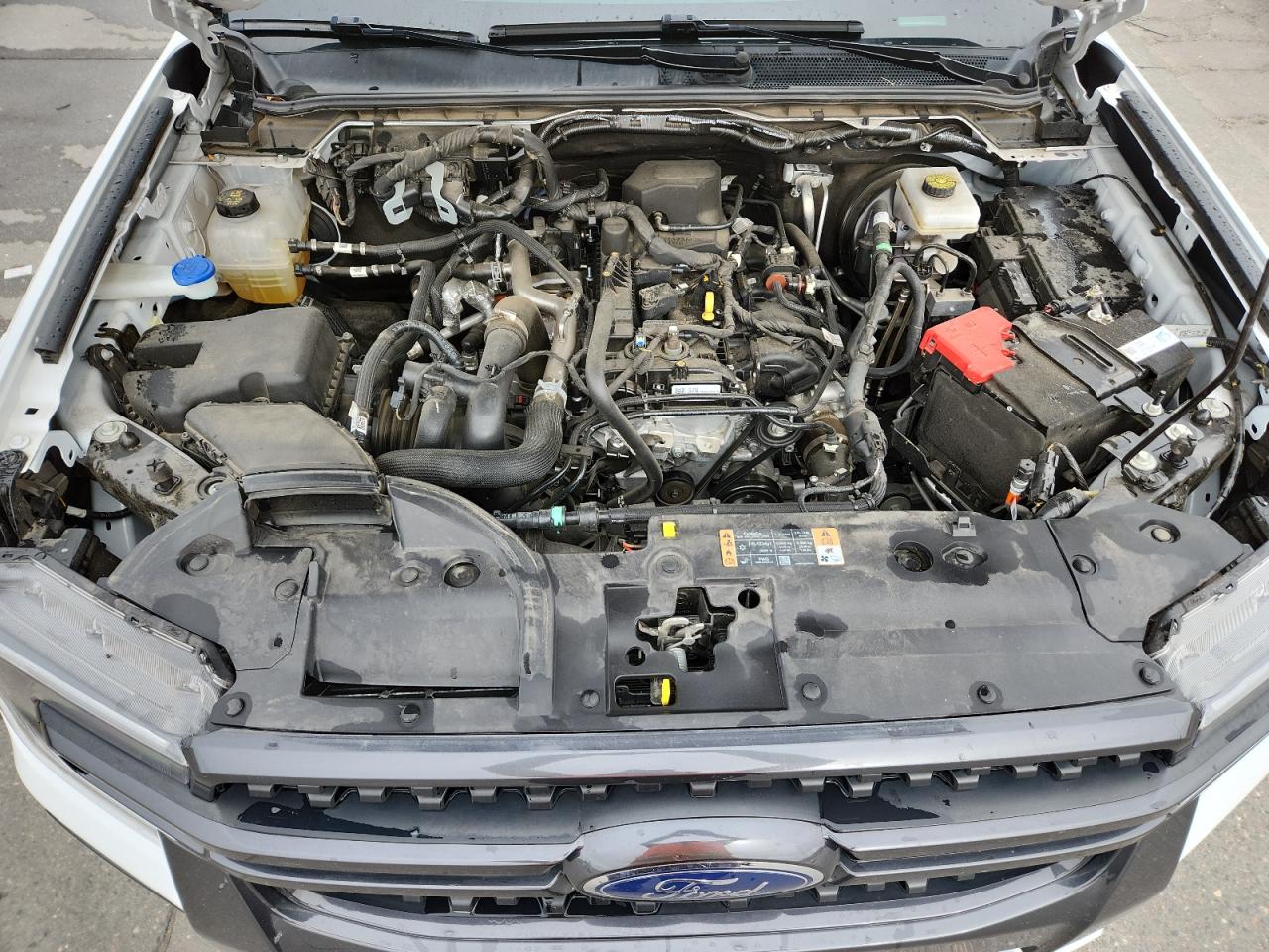 2024 Ford Ranger Xlt VIN: 1FTER4HH1RLE24604 Lot: 90493055