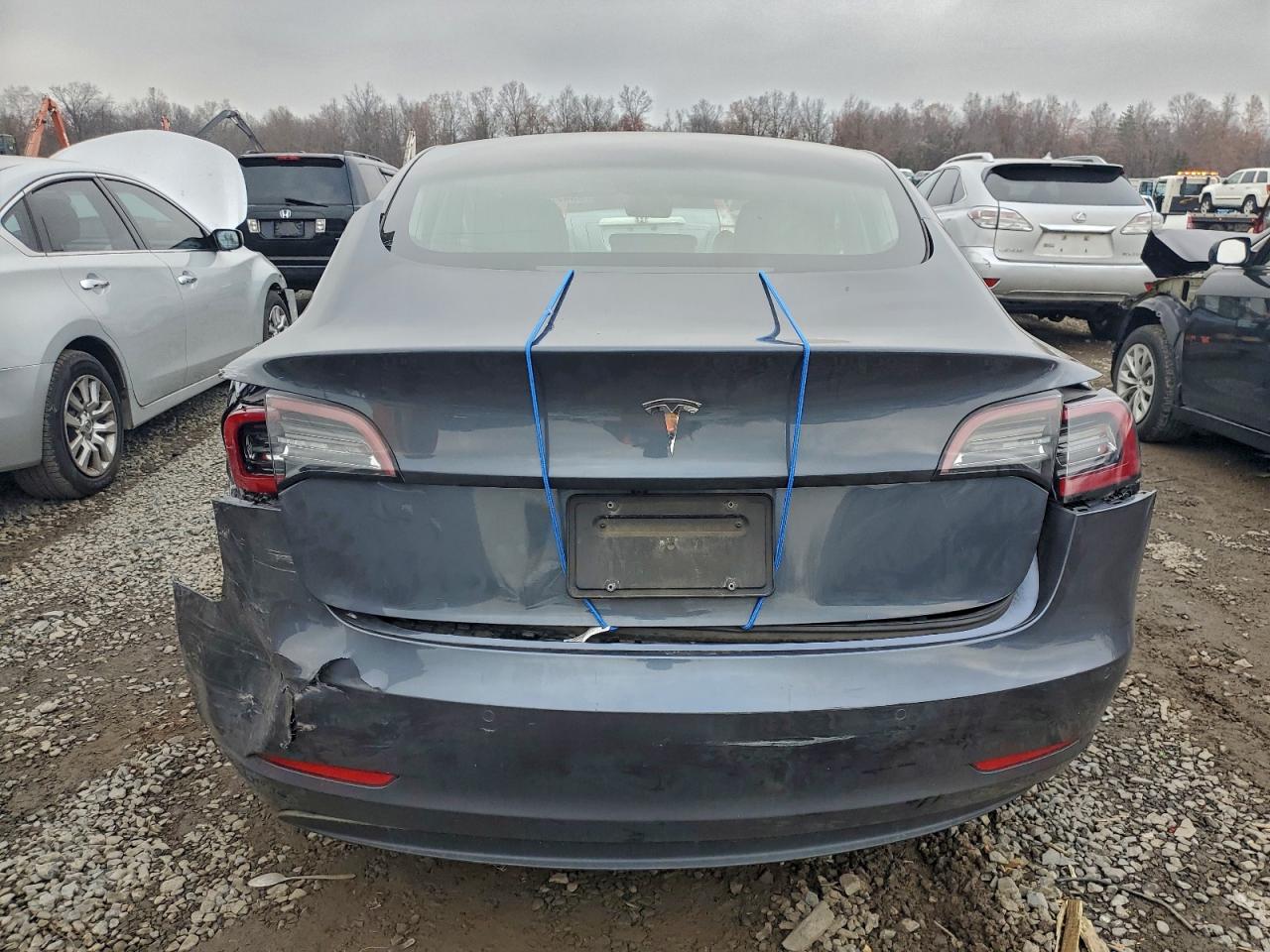 2020 Tesla Model 3 VIN: 5YJ3E1EAXLF796736 Lot: 93425595