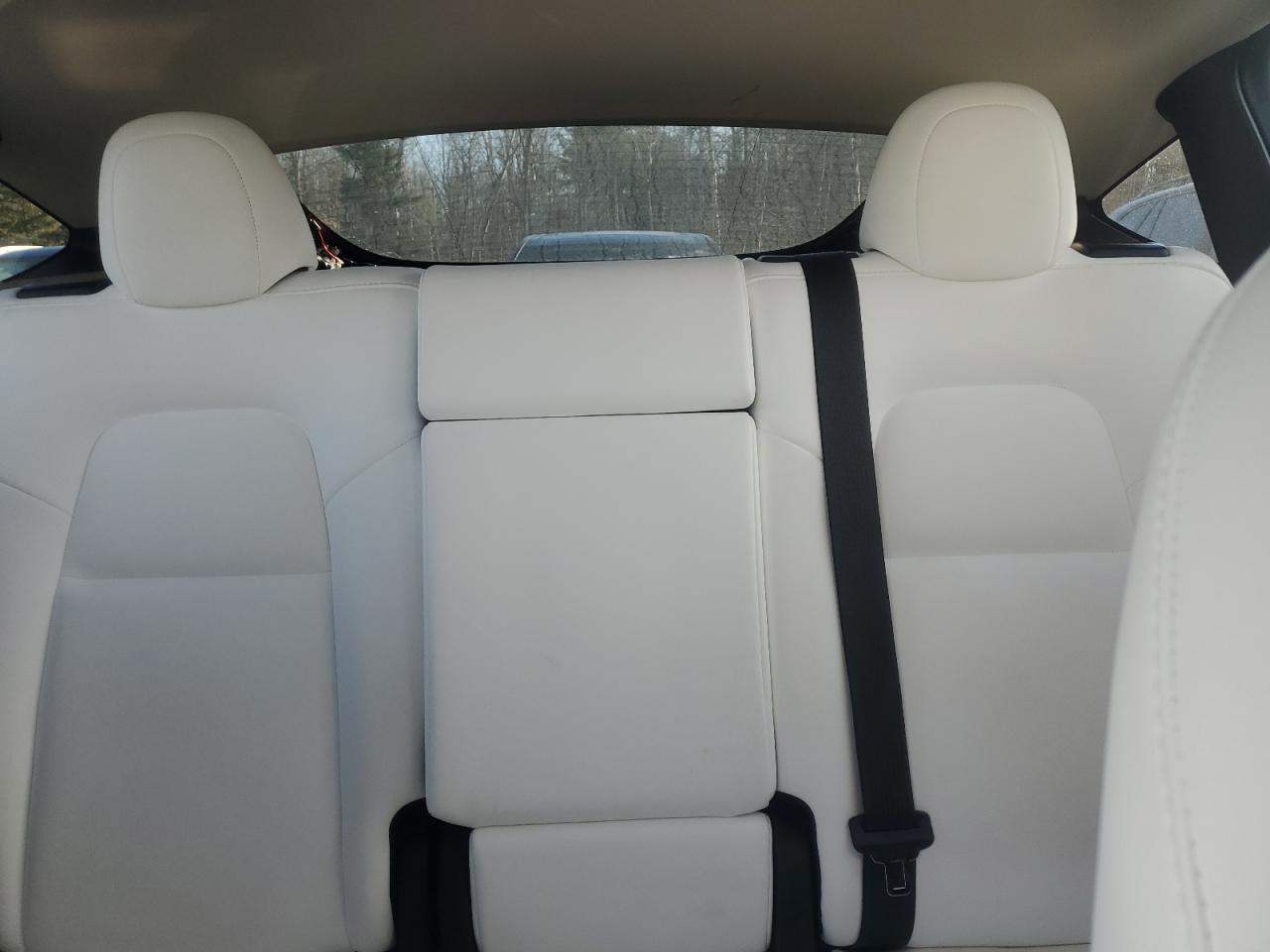 2023 Tesla Model Y VIN: 7SAYGAEE5PF769536 Lot: 93410445