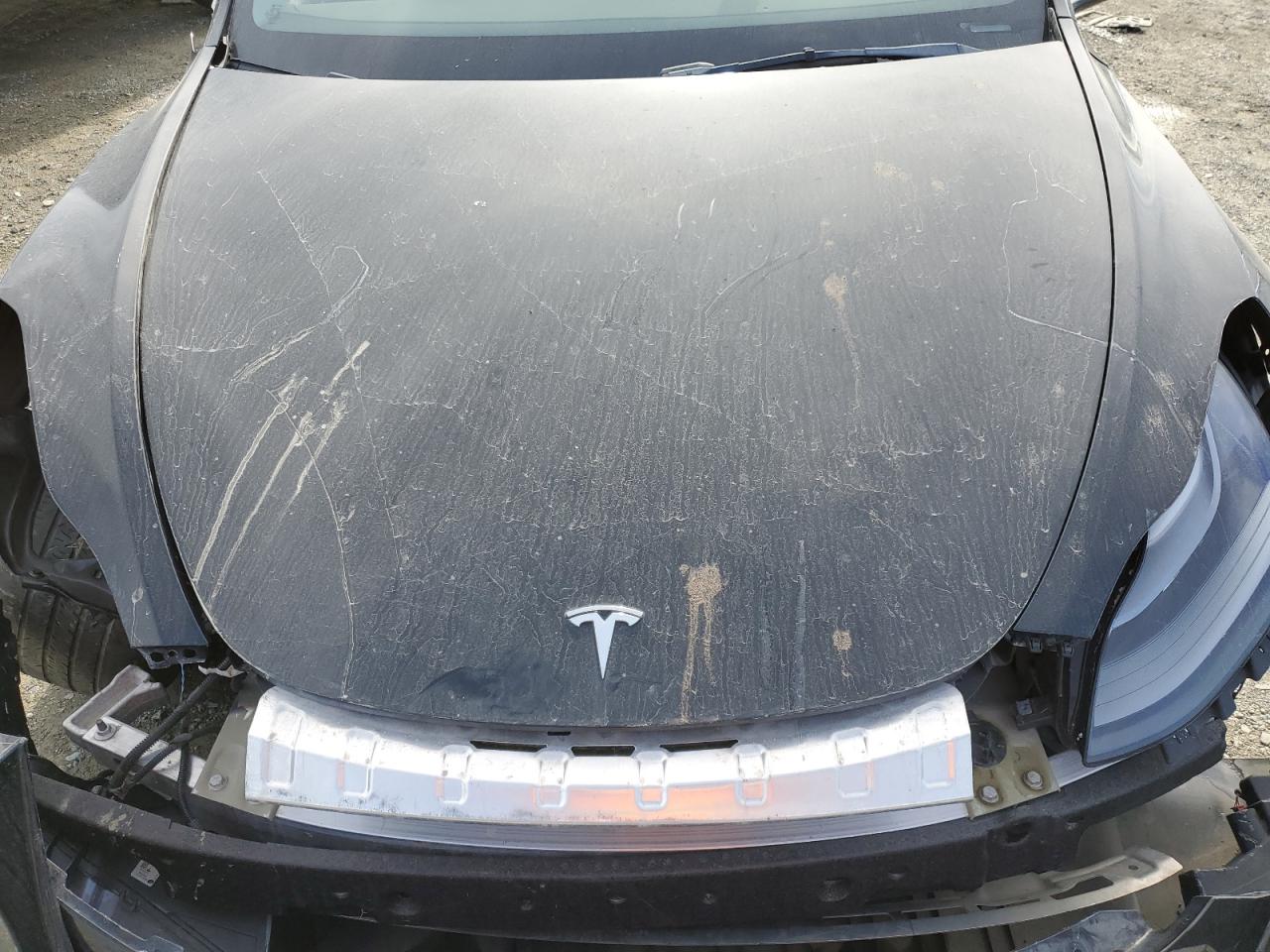 2023 Tesla Model Y VIN: 7SAYGDEE7PF748608 Lot: 90137635