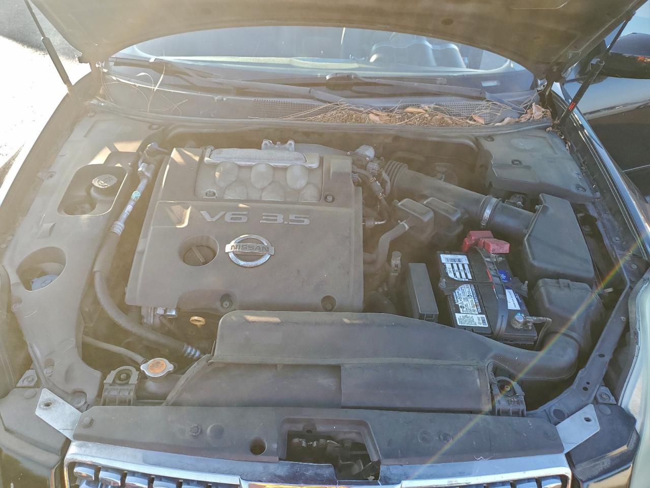 2004 Nissan Maxima Se VIN: 1N4BA41E44C897776 Lot: 94569025