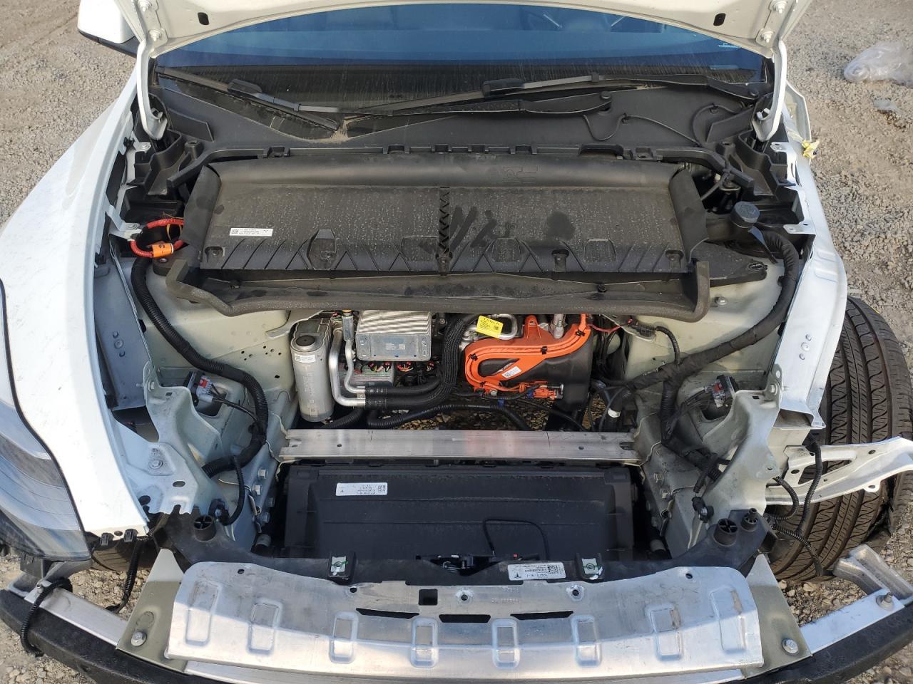 2025 Tesla Model Y VIN: 7SAYGDED3SF265620 Lot: 91872285