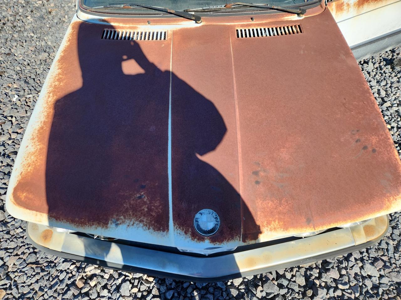 1981 BMW 3 Series VIN: WBAAH310XB7797667 Lot: 91376775