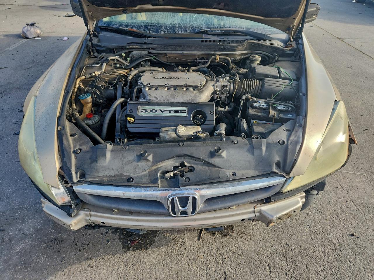 2007 Honda Accord Ex VIN: 1HGCM66537A062585 Lot: 93954065