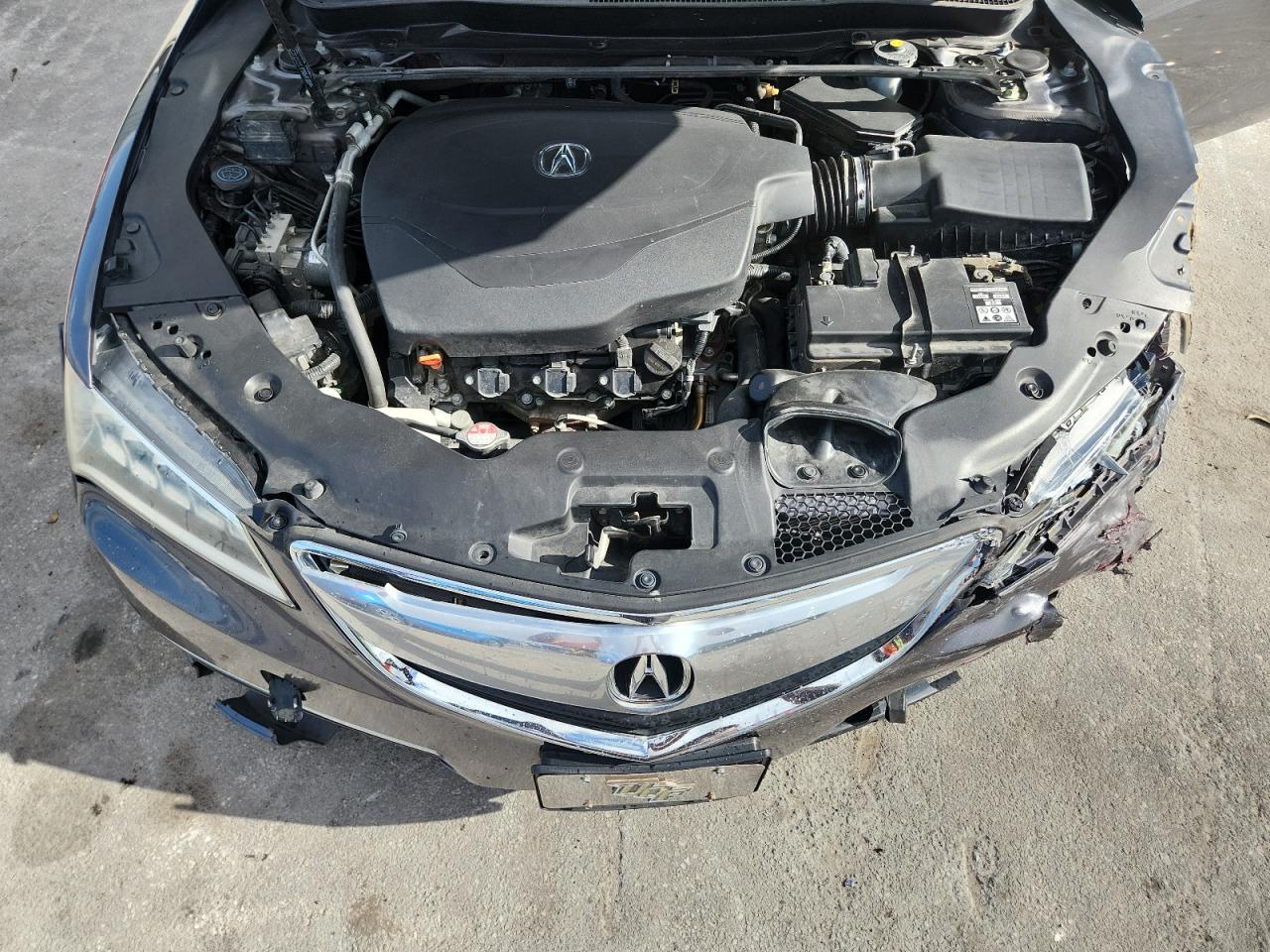 2017 Acura Tlx VIN: 19UUB2F38HA007519 Lot: 91513905