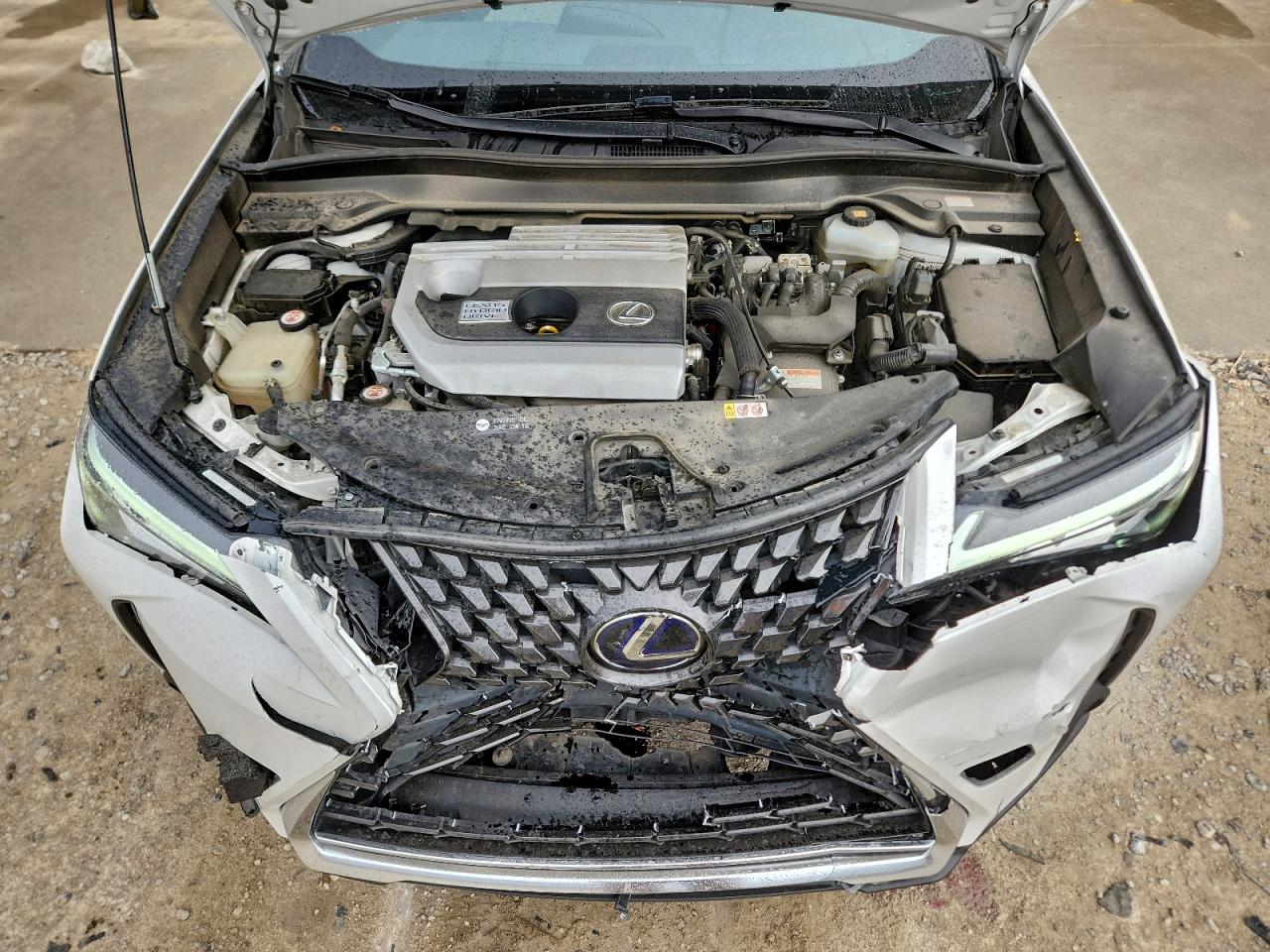 2019 Lexus Ux 250H VIN: JTHU9JBHXK2007382 Lot: 93334465