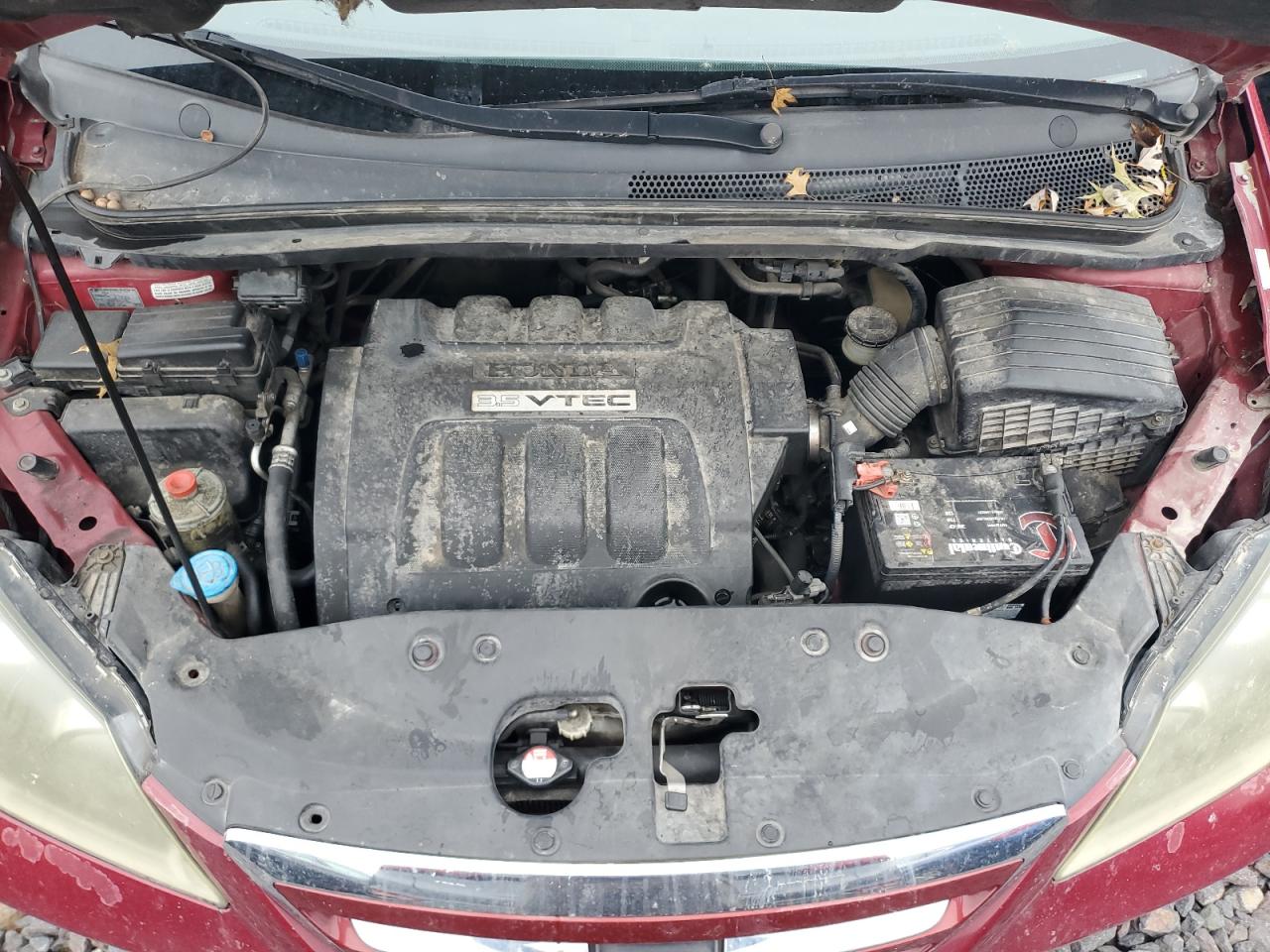 2006 Honda Odyssey Ex VIN: 5FNRL38446B434584 Lot: 92809275