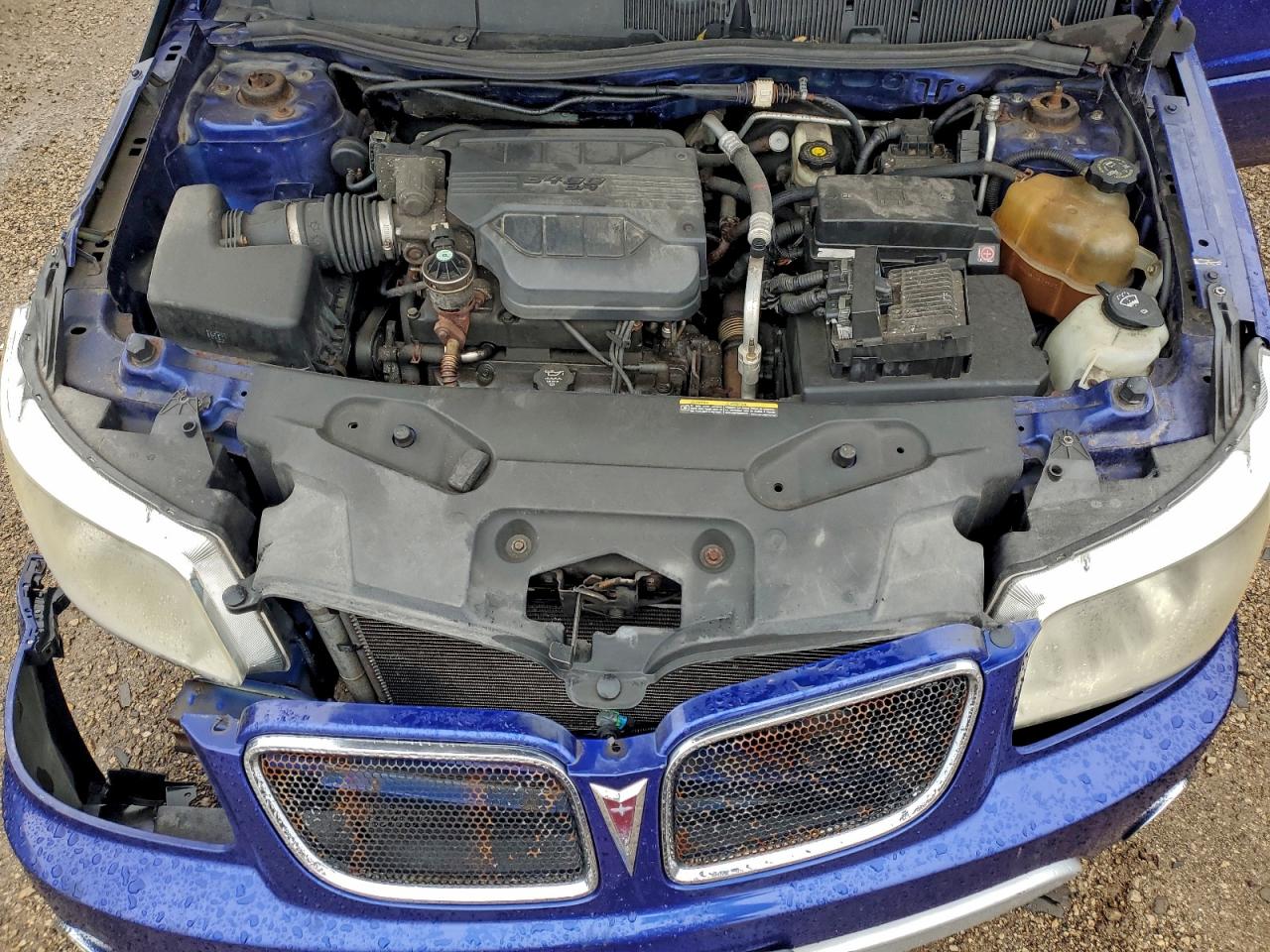 2006 Pontiac Torrent VIN: 2CKDL63F366028007 Lot: 94341935