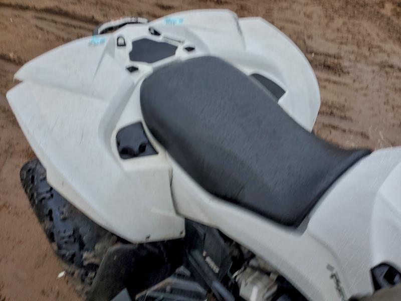 2023 CAN-AM RENEGADE 650  